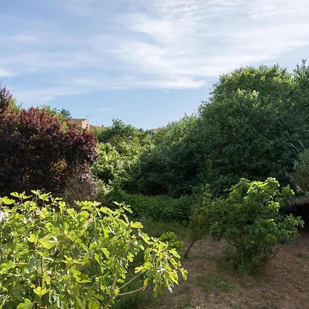 Angelo's Luxury Near Corfu Town Holiday home *